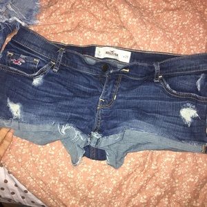 hollister shorts